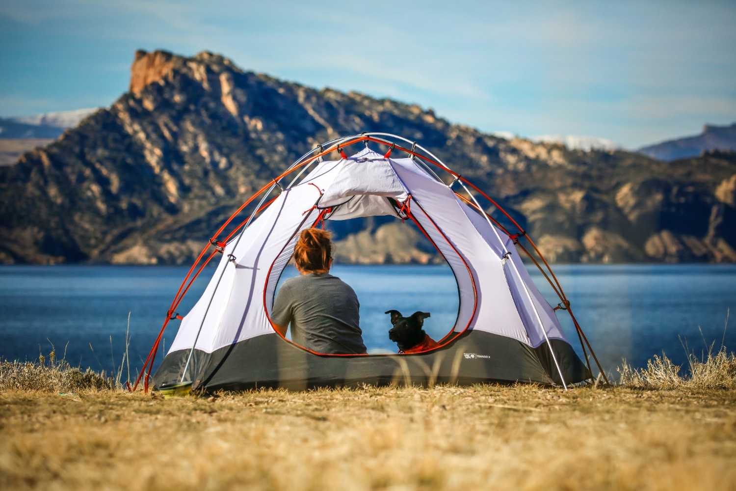 Camp Systems, Welfare & Life Support